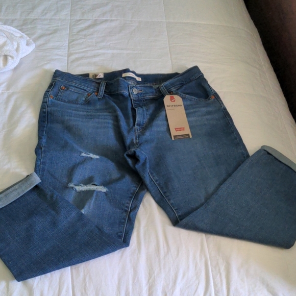 Levi 14 - Picture 4 of 4